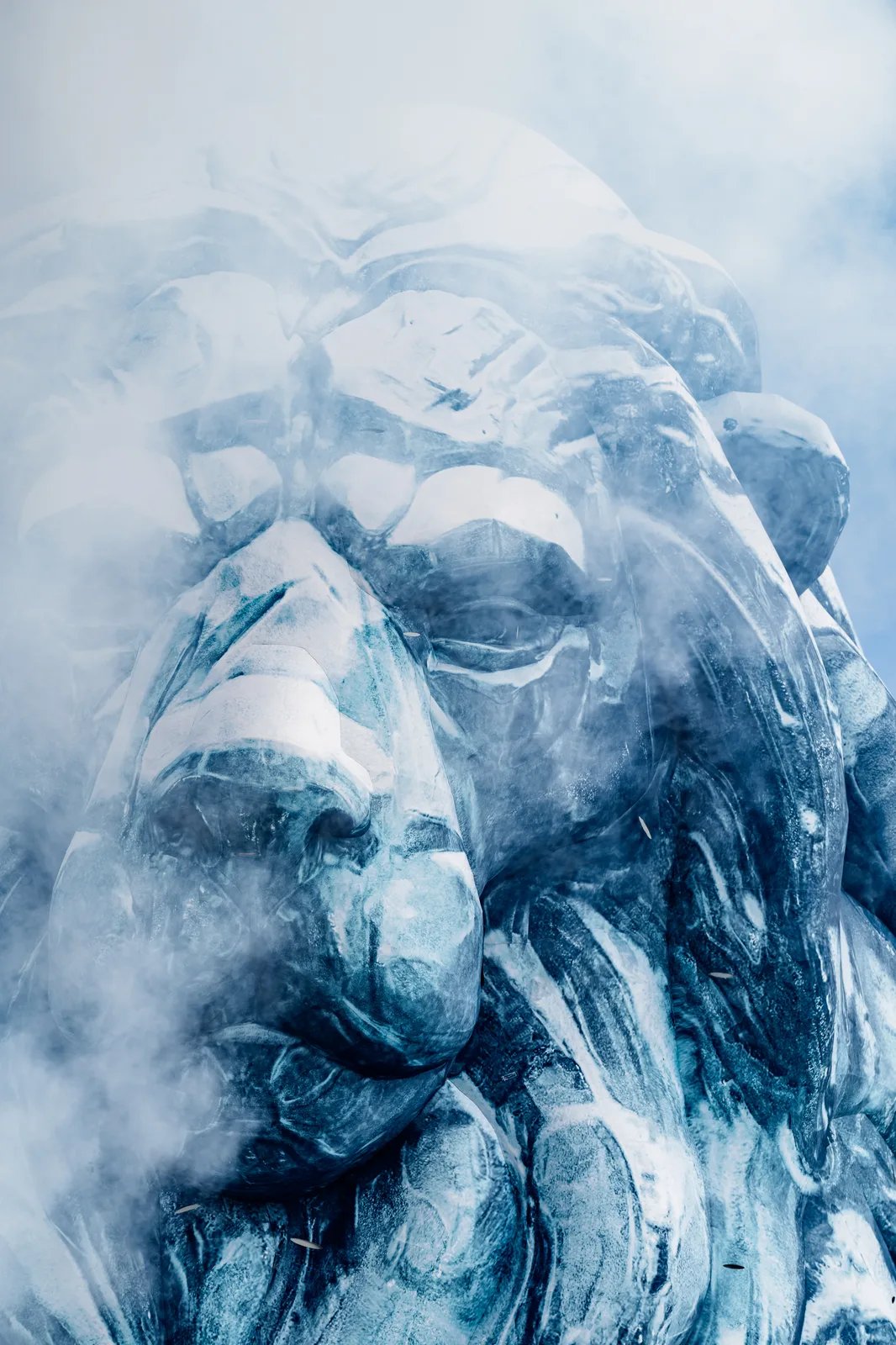Tomorrowland Winter — image du projet